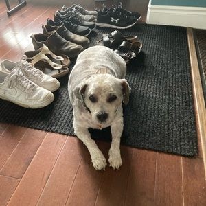 Meet your Posher, Lisa